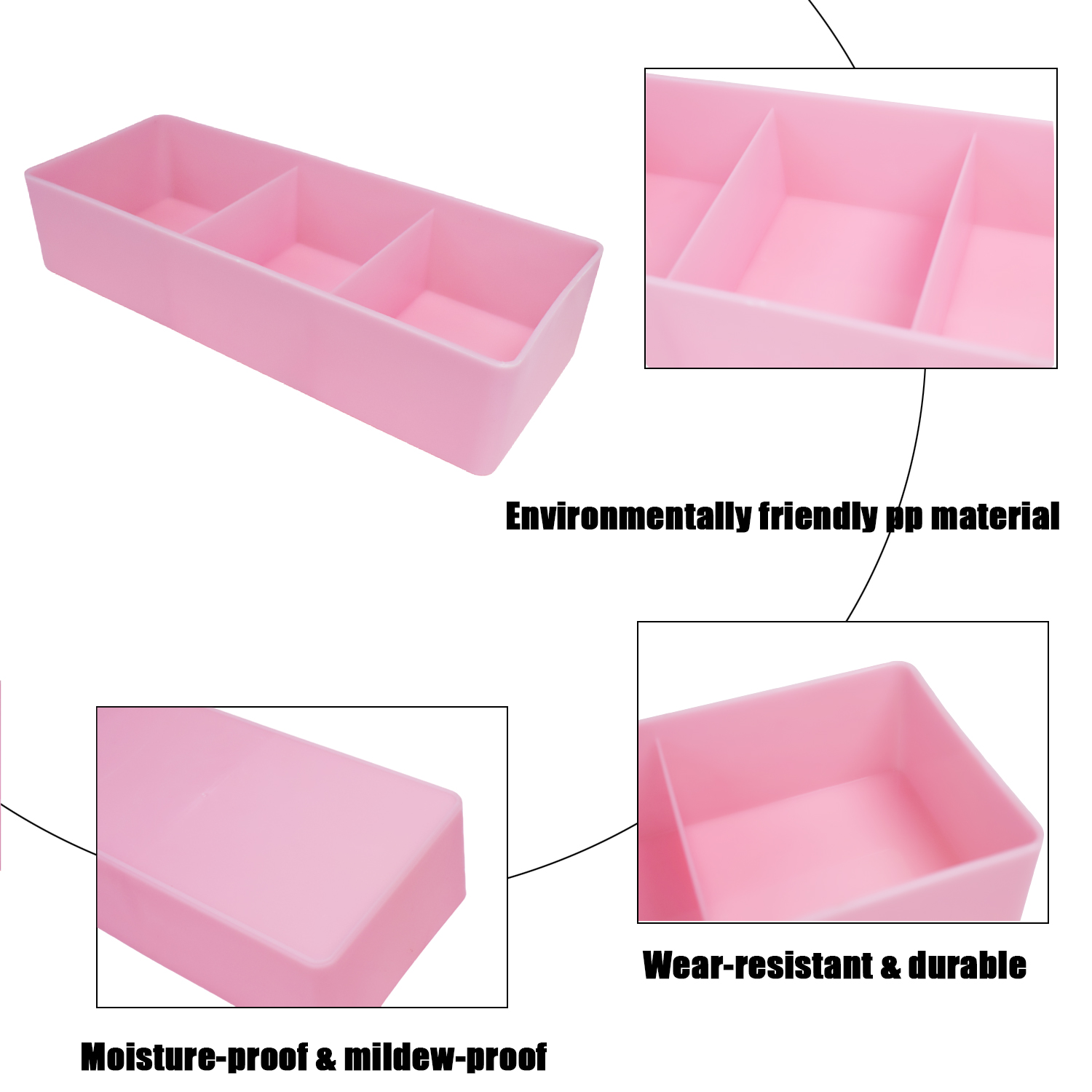Caja de almacenamiento de pest - Eyelash Extension Last reseña y precio